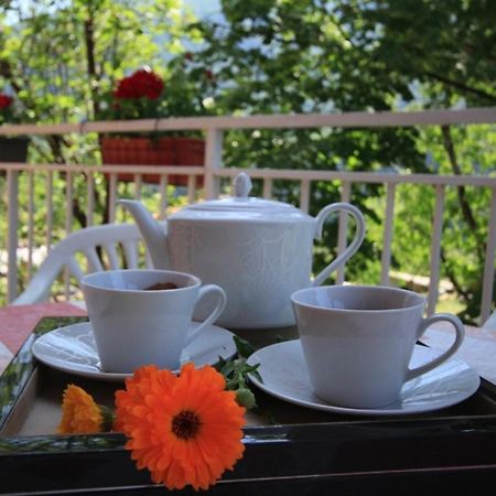 Apartman Vesna Virpazar Esterno foto