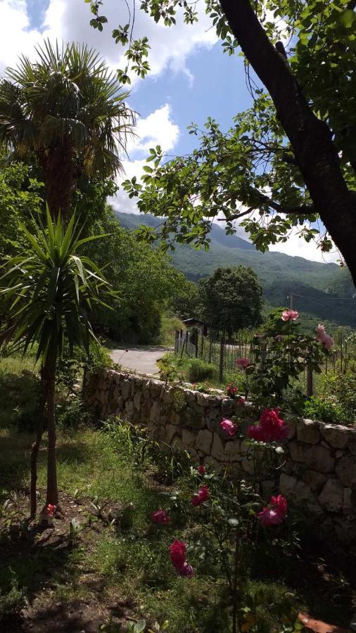 Apartman Vesna Virpazar Esterno foto