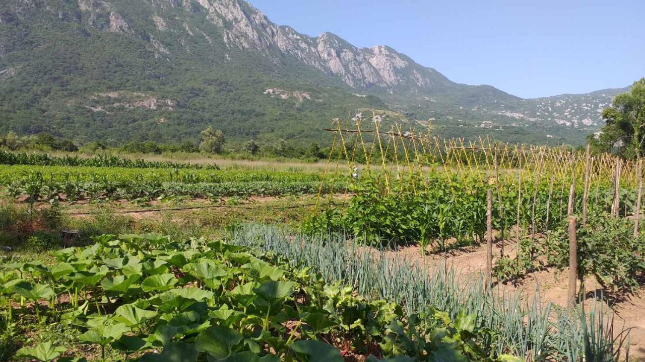 Apartman Vesna Virpazar Esterno foto