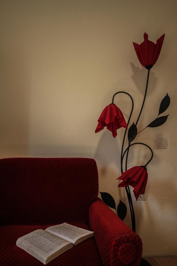 Apartman Vesna Virpazar Esterno foto