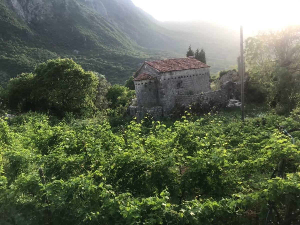 Apartman Vesna Virpazar Esterno foto